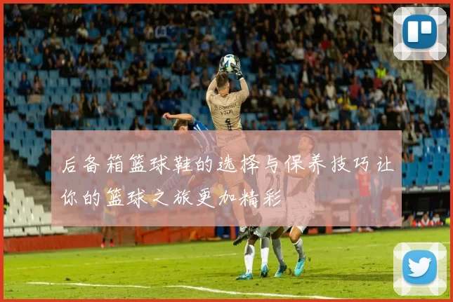 后备箱篮球鞋的选择与保养技巧让你的篮球之旅更加精彩