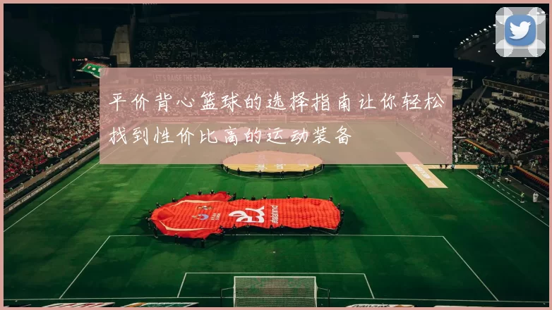 平价背心篮球的选择指南让你轻松找到性价比高的运动装备