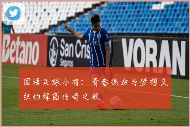国语足球小将：青春热血与梦想交织的绿茵传奇之旅