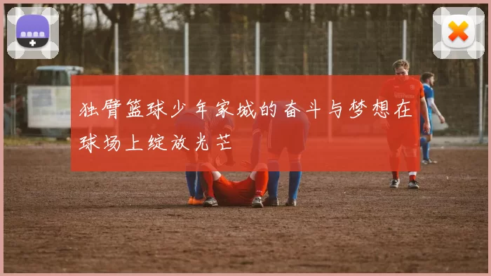 独臂篮球少年家城的奋斗与梦想在球场上绽放光芒